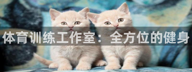 球客岛