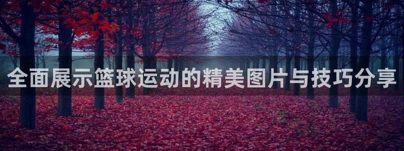 球客岛