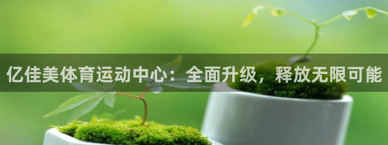 球客岛