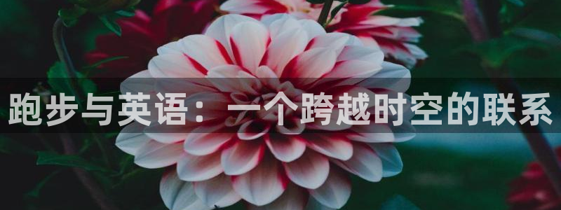 球客岛