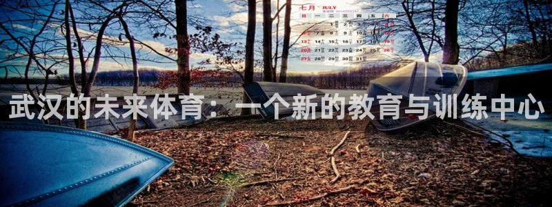 球客岛：武汉的未来体育：一个新的教育与训练中心