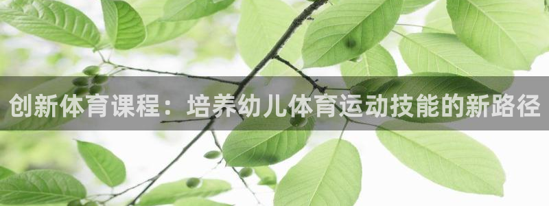 球客岛：创新体育课程：培养幼儿体育运动技能的新路径