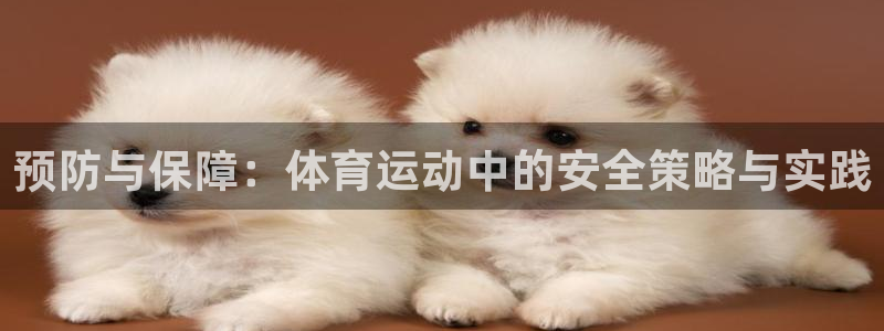 球客岛